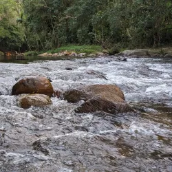 Sinharaja Forest Reserve - Horana