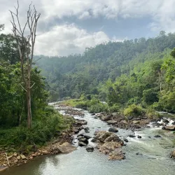 Sinharaja Forest Reserve - Horana
