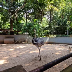 Dehiwala Zoo (National Zoological Gardens) - Kadawatha