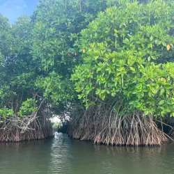 Pottuvil Lagoon - Kalmunai