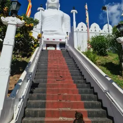 Bahirawakanda Vihara Buddha Statue - Kandy