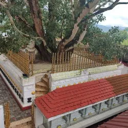 Bahirawakanda Vihara Buddha Statue - Kandy