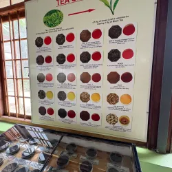Ceylon Tea Museum - Kandy