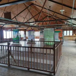 Ceylon Tea Museum - Kandy