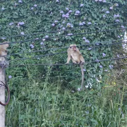 Kandy View Point - Kandy