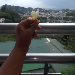 Kandy View Point - Kandy