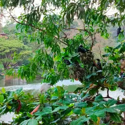 Kandy View Point - Kandy