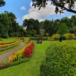Royal Botanical Gardens, Peradeniya - Kandy