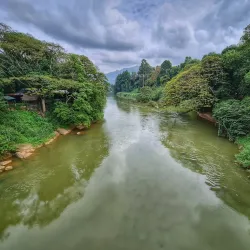 Royal Botanical Gardens, Peradeniya - Kandy