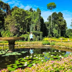 Royal Botanical Gardens, Peradeniya - Kandy