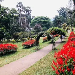 Royal Botanical Gardens, Peradeniya - Kandy