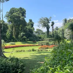 Royal Botanical Gardens, Peradeniya - Kandy
