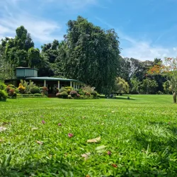 Royal Botanical Gardens, Peradeniya - Kandy