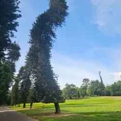 Royal Botanical Gardens, Peradeniya - Kandy