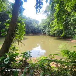Udawattakele Forest Reserve - Kandy