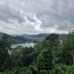 Udawattakele Forest Reserve - Kandy