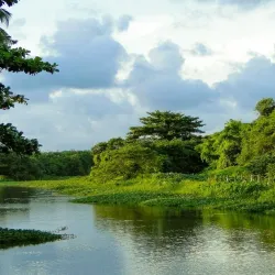 Attidiya Bird Sanctuary - Kiribathgoda