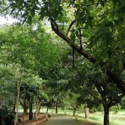 Kiribathgoda Public Park - Kiribathgoda