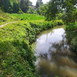 Kiribathgoda Public Park - Kiribathgoda