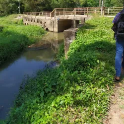 Kiribathgoda Public Park - Kiribathgoda