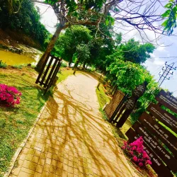 Kiribathgoda Public Park - Kiribathgoda
