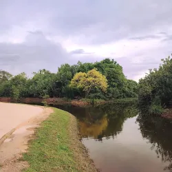Kolonnawa Wetlands - Kolonnawa