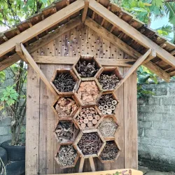 Kolonnawa Wetlands - Kolonnawa