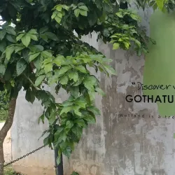 Kolonnawa Wetlands - Kolonnawa