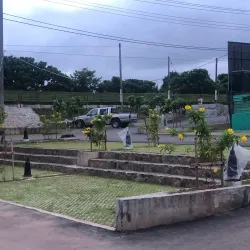 Kolonnawa Wetlands - Kolonnawa