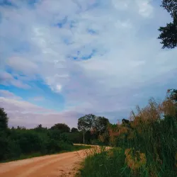 Kolonnawa Wetlands - Kolonnawa