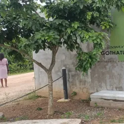 Kolonnawa Wetlands - Kolonnawa