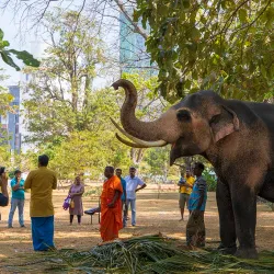 Viharamahadevi Park - Kolonnawa