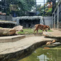 Dehiwala Zoo (National Zoological Gardens of Sri Lanka) - Kotikawatta
