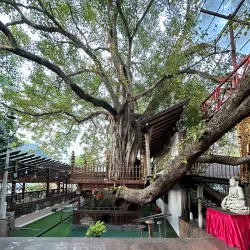 Gangaramaya Temple - Kotikawatta
