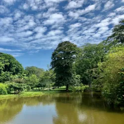 Viharamahadevi Park - Kotikawatta