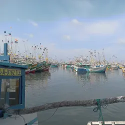 Kudawella Fishing Village - Kudawella