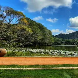Kurunegala Lake - Kurunegala