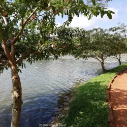 Kurunegala Lake - Kurunegala