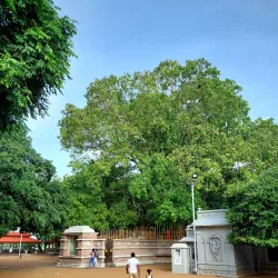 Bellanwila Rajamaha Viharaya - Maharagama