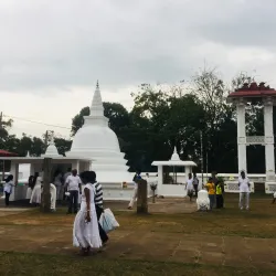 Kotte Raja Maha Vihara - Maharagama
