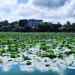 Piliyandala Lake - Maharagama