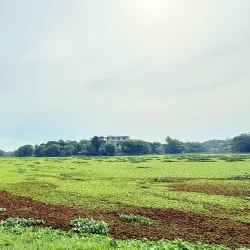 Piliyandala Lake - Maharagama
