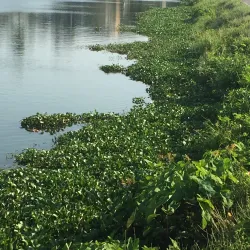 Piliyandala Lake - Maharagama