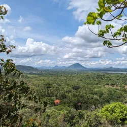 Dambulla Cave Temple (near Matale) - Matale