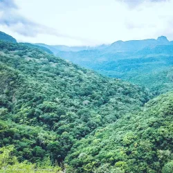 Knuckles Mountain Range - Matale