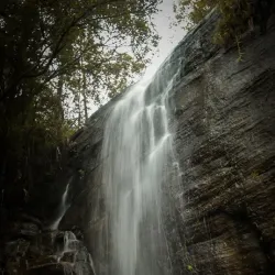 Knuckles Mountain Range - Matale