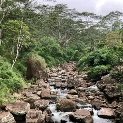 Knuckles Mountain Range - Matale