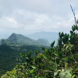 Knuckles Mountain Range - Matale