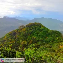 Knuckles Mountain Range - Matale