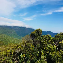 Knuckles Mountain Range - Matale